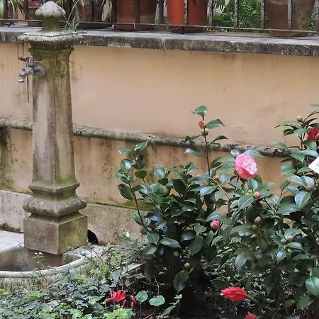 Morelli Bed and breakfast Roma
