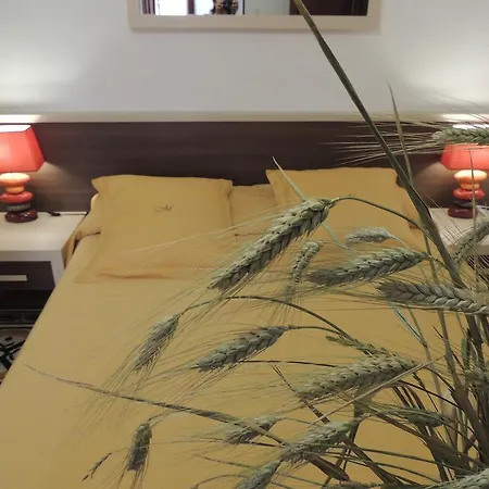 Morelli Bed and breakfast 2*